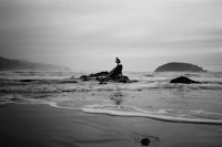 a black and white photo of a bird standing on a rock in the ocean